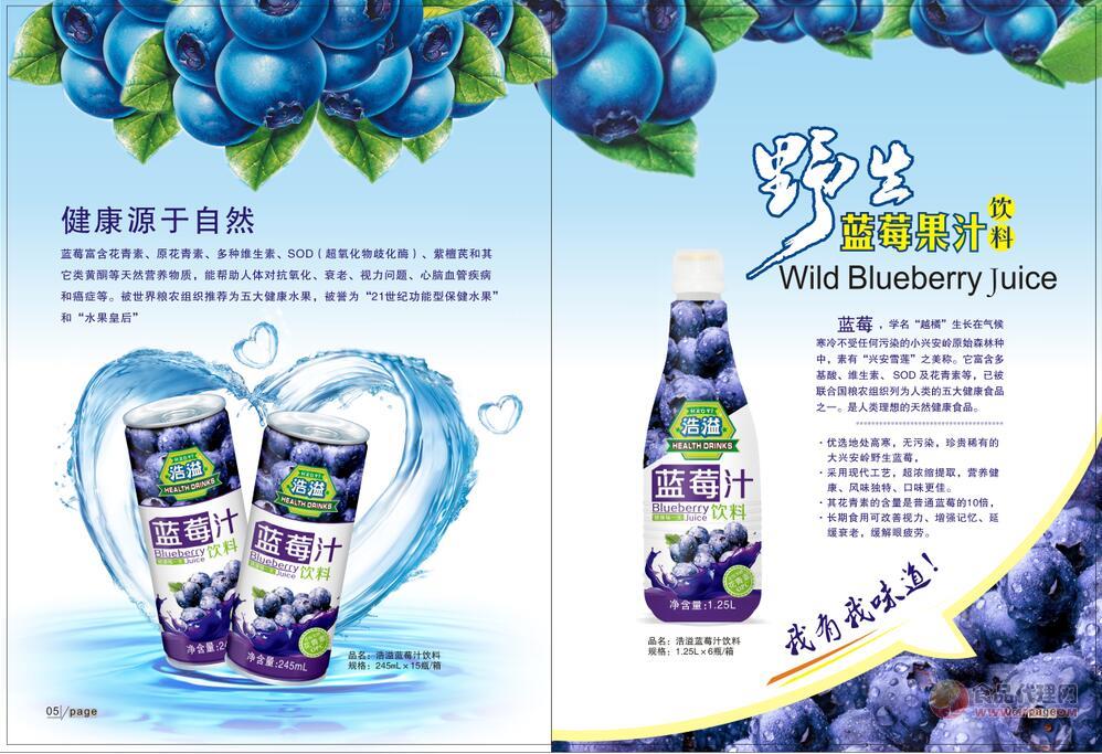 浩溢蓝莓汁饮料1.25ml