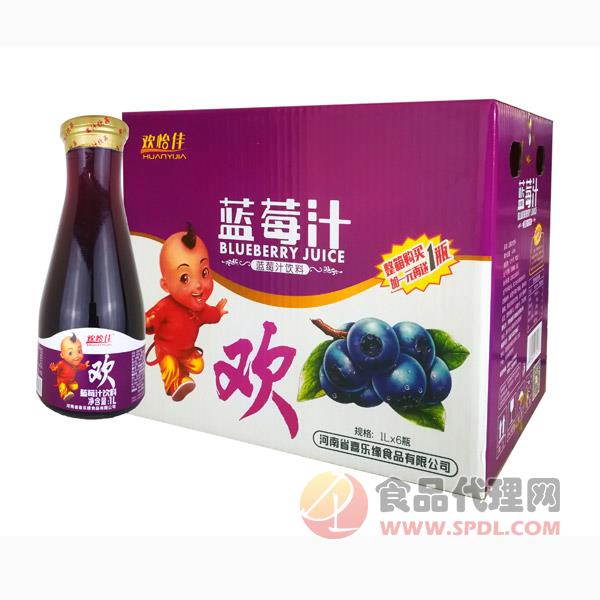 欢怡佳蓝莓汁1lx6