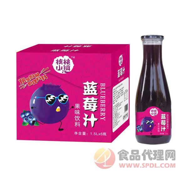 核桃小镇蓝莓汁果味饮料1.5lx6