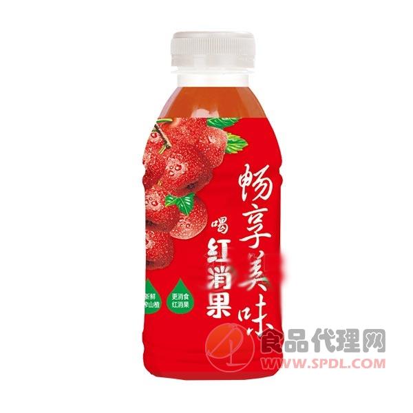 畅享美味 喝红消果 山楂汁饮料瓶装 (2)