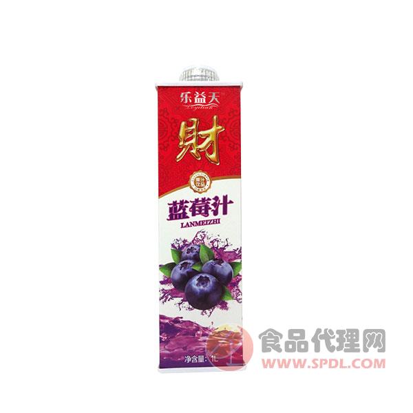 乐益天方盒蓝莓汁1L×6