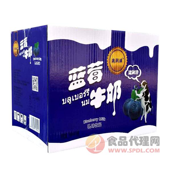 澳润滋蓝莓牛奶乳味饮料500mlx15