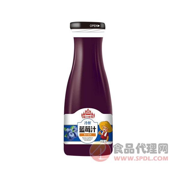 源汁醇浆冷榨蓝莓汁1.5L招商