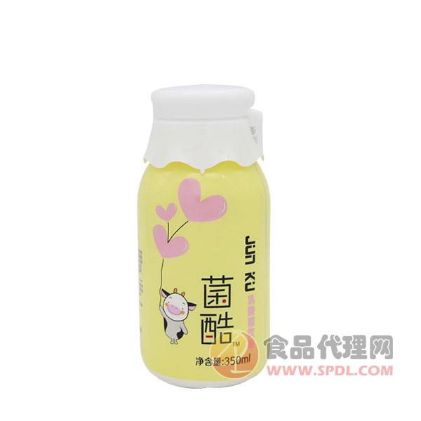 菌酷乳酸菌饮品黄瓶350ml