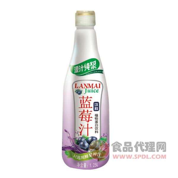 源汁纯浆蓝莓汁植物蛋白饮料1.25l