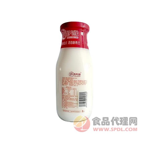奶语养缘原味发酵乳酸菌饮品300ml