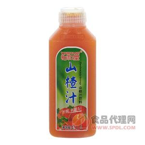 怡和堂山楂汁饮料450ml