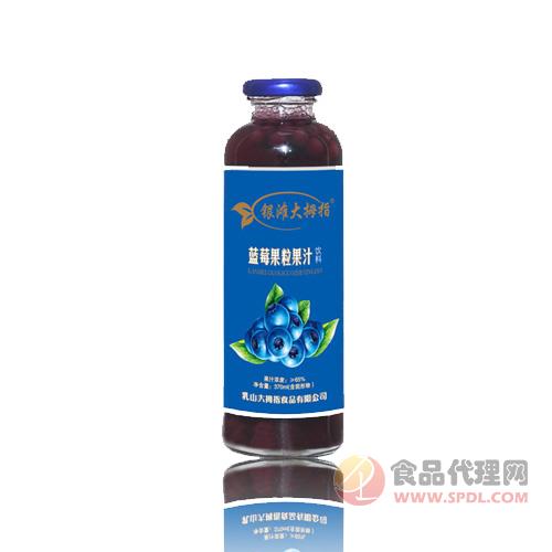 银滩大拇指蓝莓果粒果汁饮料370ml