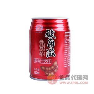 荣荣酸角滋酸角汁饮料250ml