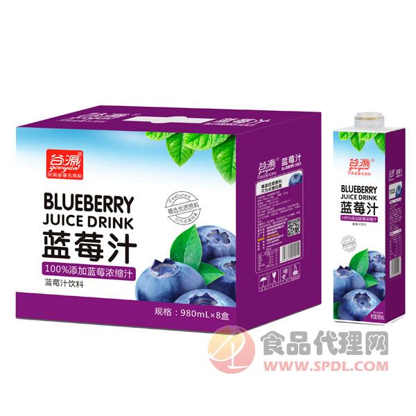 谷源蓝莓汁饮料980mlx8盒