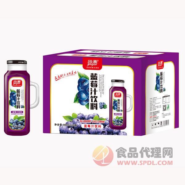 谷源蓝莓汁饮料980mlx6瓶
