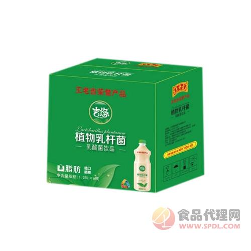 吉悠植物乳酸菌1.25Lx6瓶箱装