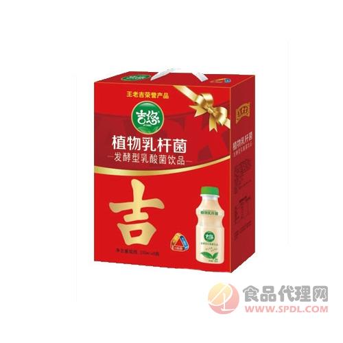 吉悠植物乳酸菌330mlx8瓶礼盒装