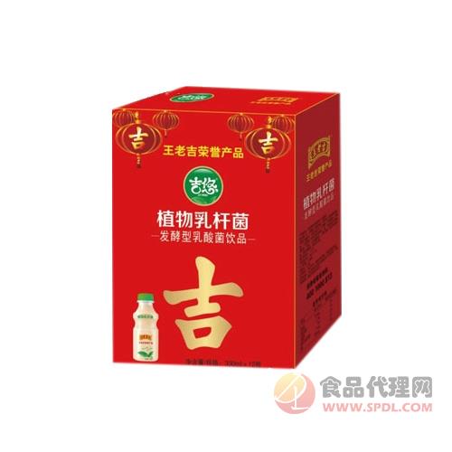 吉悠植物乳酸菌330mlx12瓶礼盒装