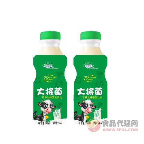 大将菌乳酸菌饮品青柠味340ml