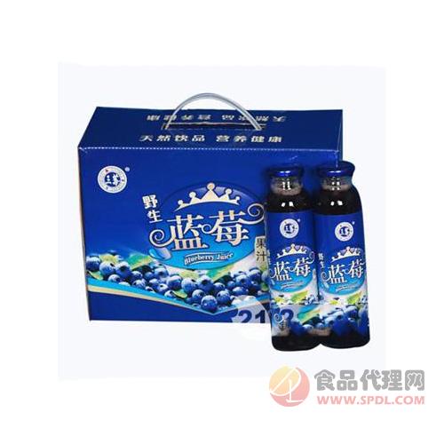 哈福蓝莓果汁饮料500ml