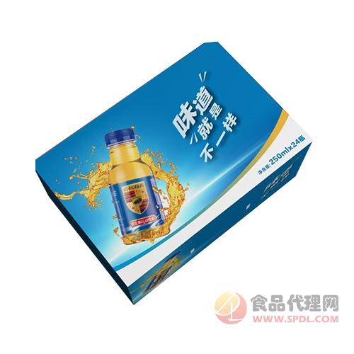 司机伯乐维生素运动饮料250mlx24瓶