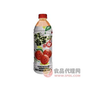 赢人心抖音蜜小揸果汁饮料1L