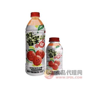 赢人心抖音蜜小楂果汁饮料1L