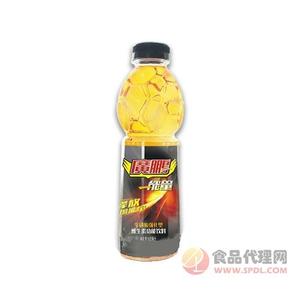 廣鹏能量维生素功能饮料600ml