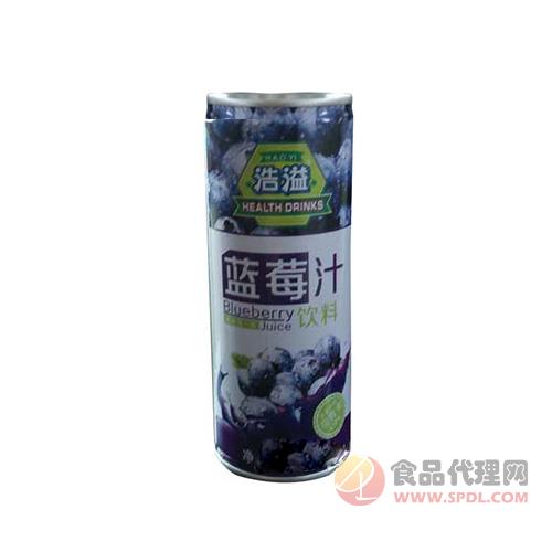 浩溢蓝莓果汁245ml