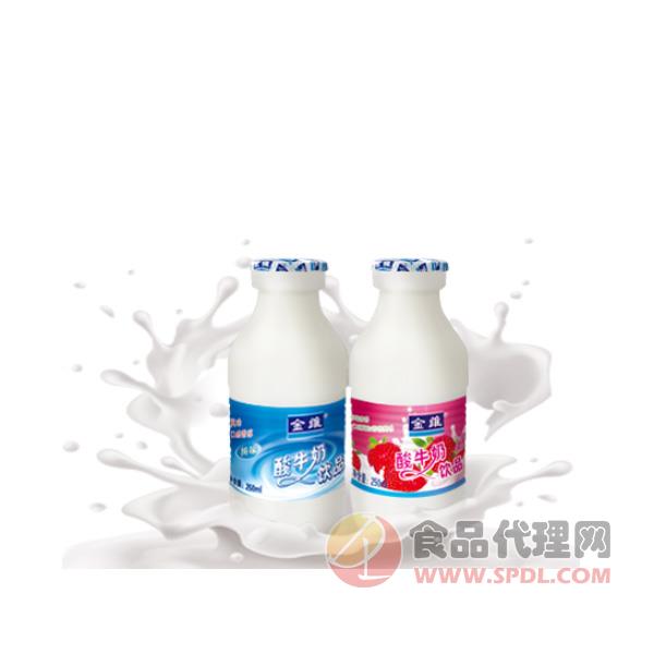 金维酸牛奶240ml