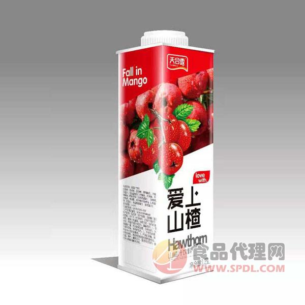 天合露爱上山楂山楂汁饮料1.5L