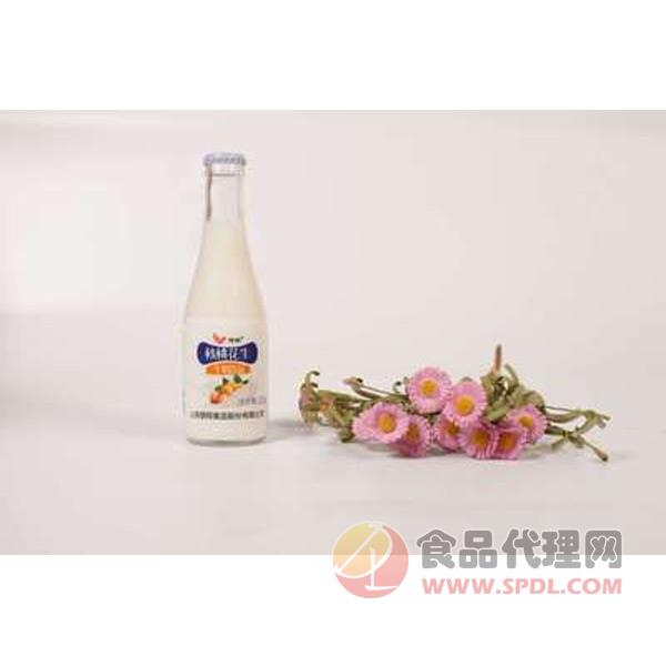 壹鹏核桃花生牛奶220ml