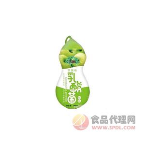 貝克蘋果味乳酸菌248ml