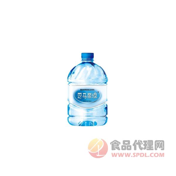 丽琅神仙泉4.6l