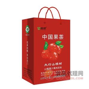 琅津中国果茶山楂果汁果肉饮料礼盒