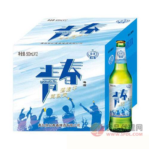 京淳啤酒青春500mlX12