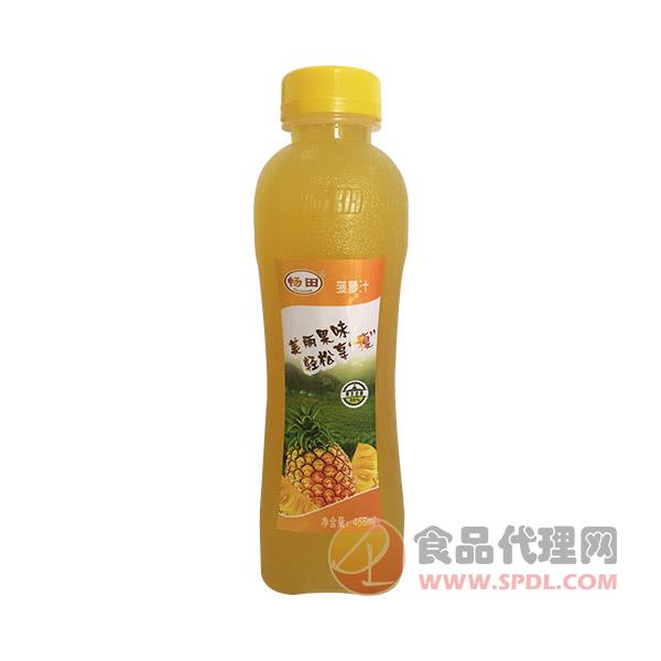畅田菠萝汁饮料468ml