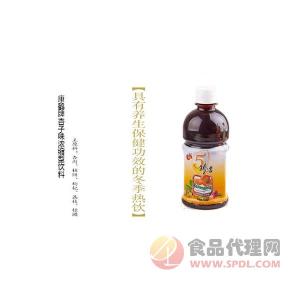 康鹤五珍杏饮品瓶装