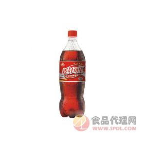 神龙饮品姜汁可乐瓶装