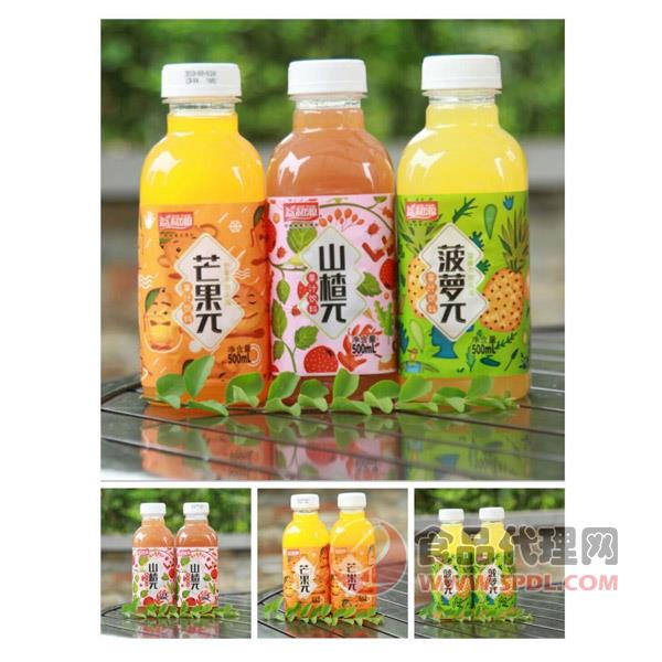 智园山楂π果汁饮料500ml