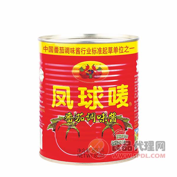 凤球唛番茄调味酱850g