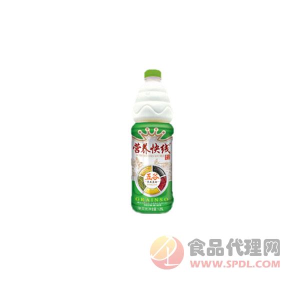 营养快线绿豆奶1.25L
