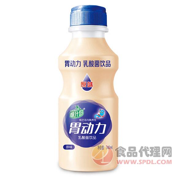 椰汁岛胃动力乳酸菌饮品340ml