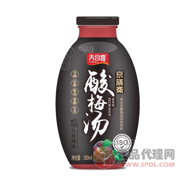 天合露酸梅汤风味饮料300ml