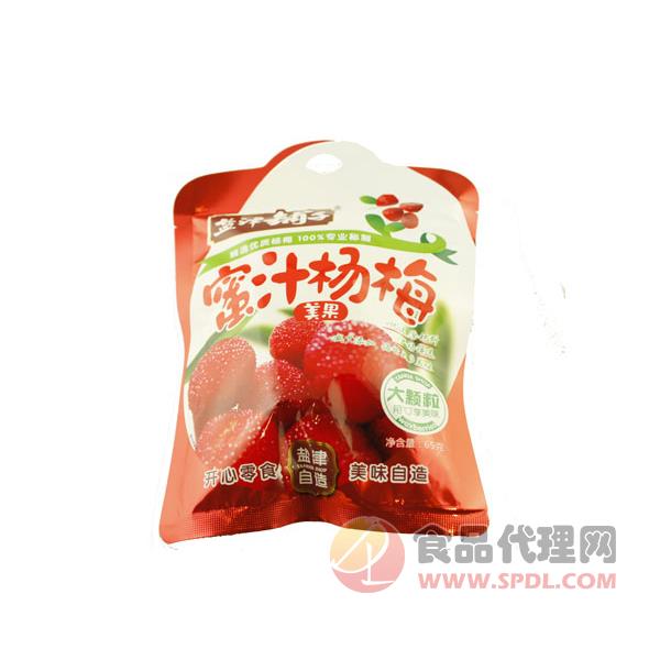 盐津铺子蜜汁杨梅65g