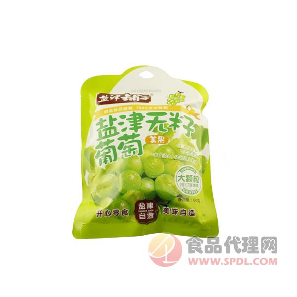 盐津铺子无籽葡萄60g