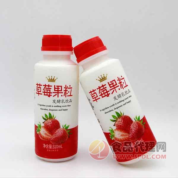 豆本豆草莓果粒发酵乳饮品瓶装