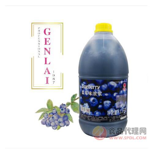 根莱蓝莓味果汁浓浆2.5kg