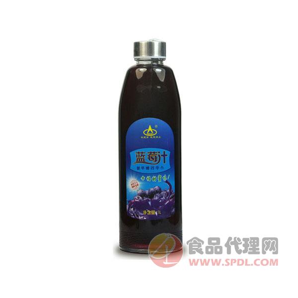 阳光果园蓝莓汁1L