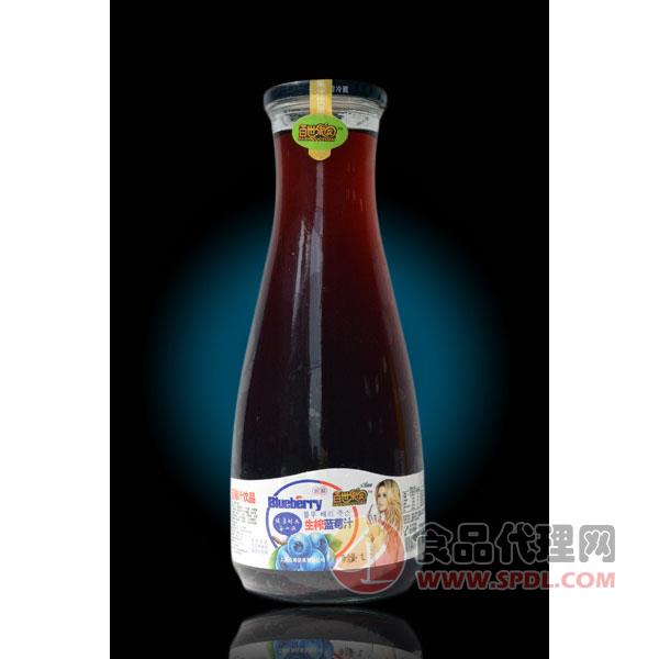 沩宇生榨蓝莓汁1L