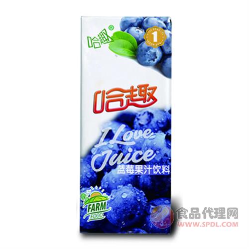 哈趣蓝莓果汁250ml