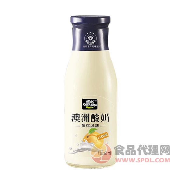 盛牧酸奶饮品黄桃味320ml