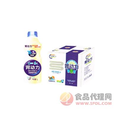 陈福记胃动力乳酸菌饮品1L×8瓶