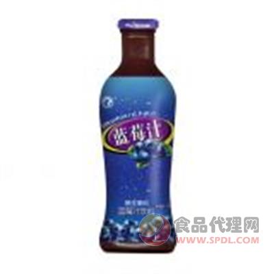 多维佳蓝莓汁600ML